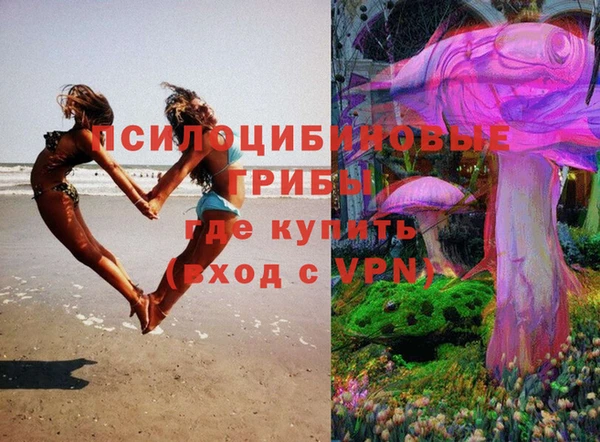 молекула духа Ростов