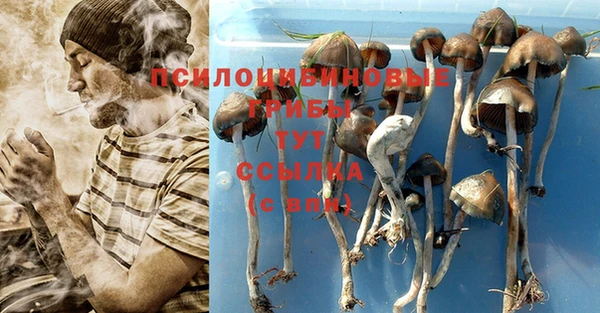 каннабис Рославль