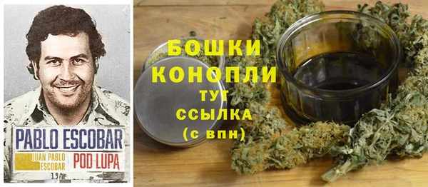 молекула духа Ростов