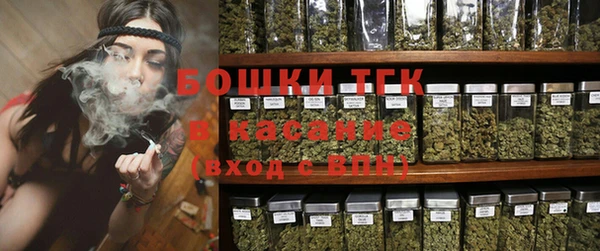 молекула духа Ростов