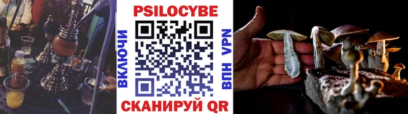сколько стоит  Сатка  Галлюциногенные грибы Cubensis 